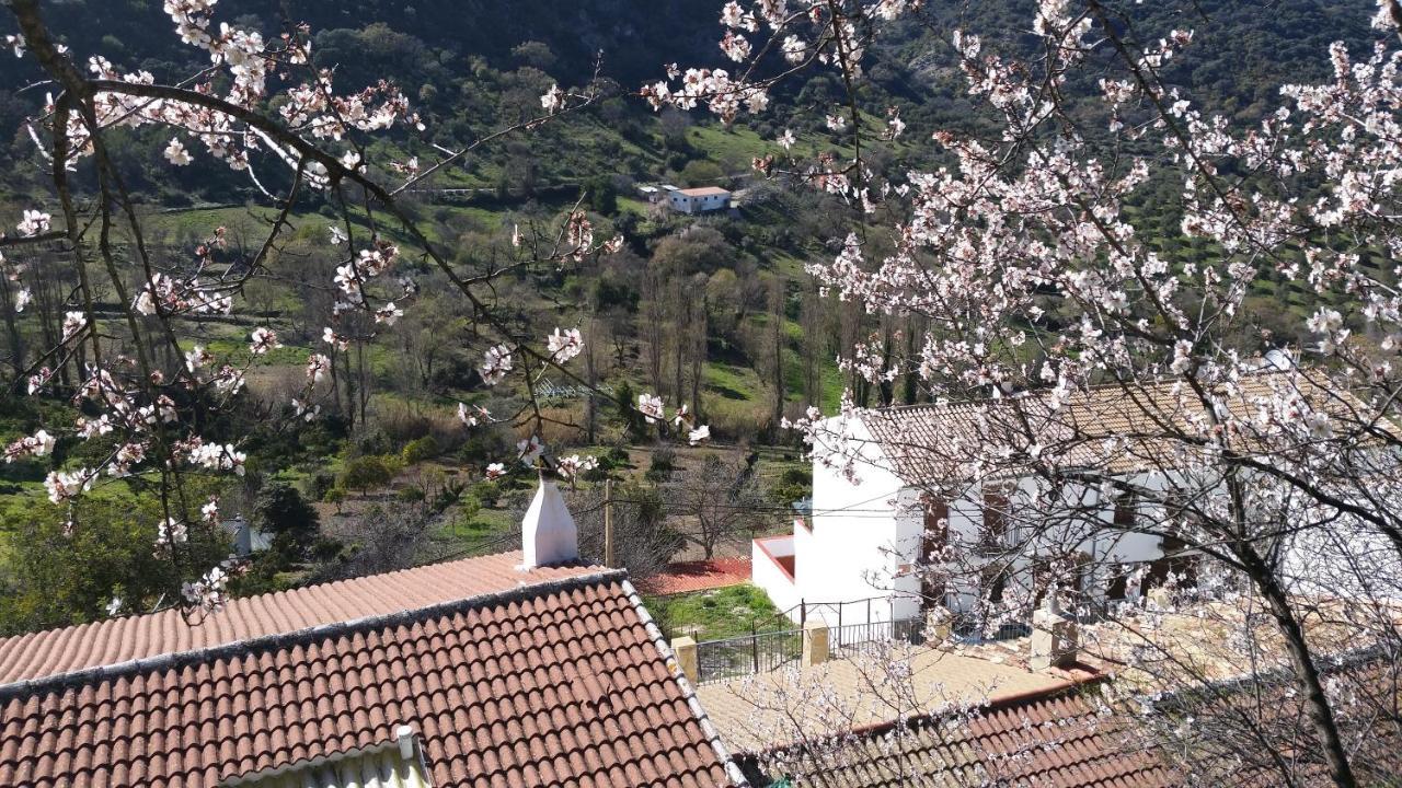 Benamahoma Rural Appartement Buitenkant foto